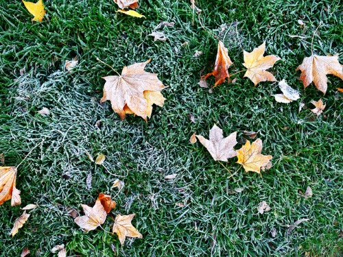 Frost kann Erde lockern